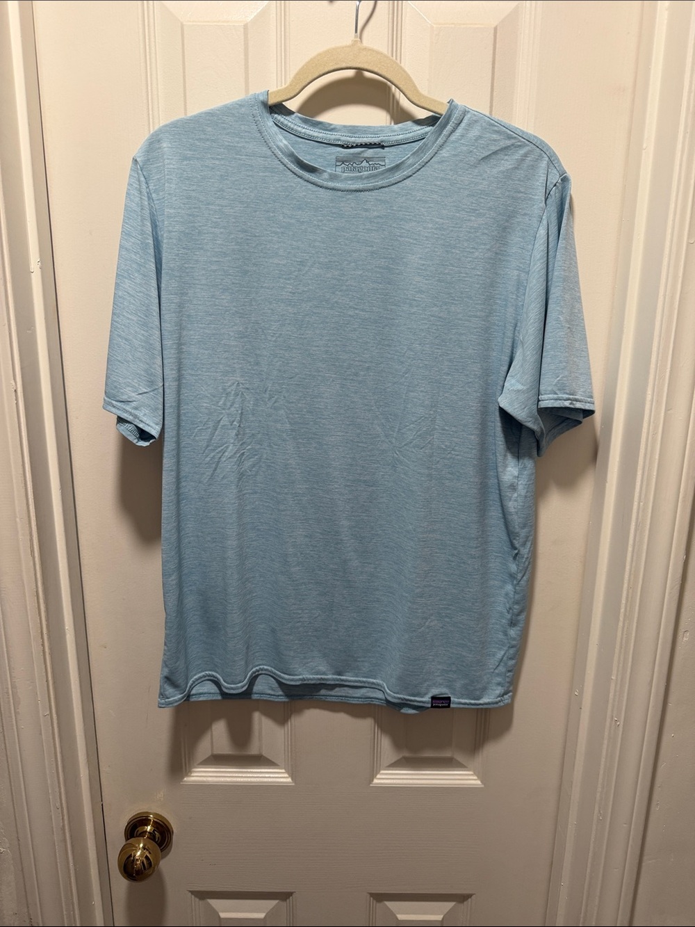 Patagonia Men’s Crew Tee in Pale Blue